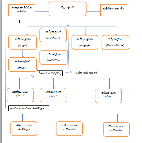 අපේ පාසලේ පරිපාලන ව්‍යුහය